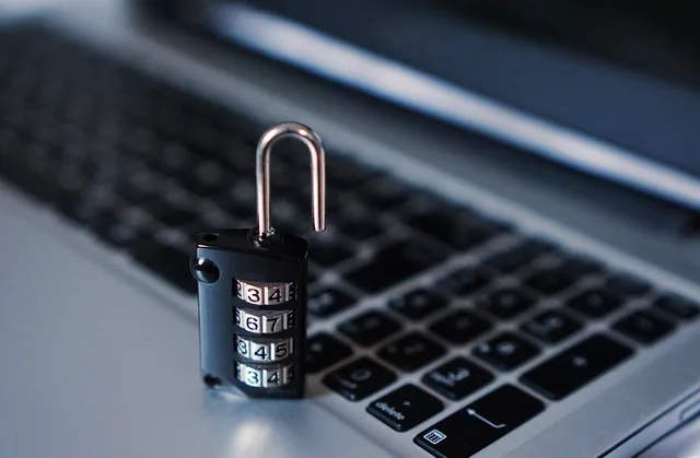 computer, security, padlock, hacker, hacking, theft, thief, keyboard, cyber, internet security, security, security, security, security, security, hacker, hacker, hacker, hacking, hacking, cyber, cyber. What Canadian cyber insurers ask before covering a small business