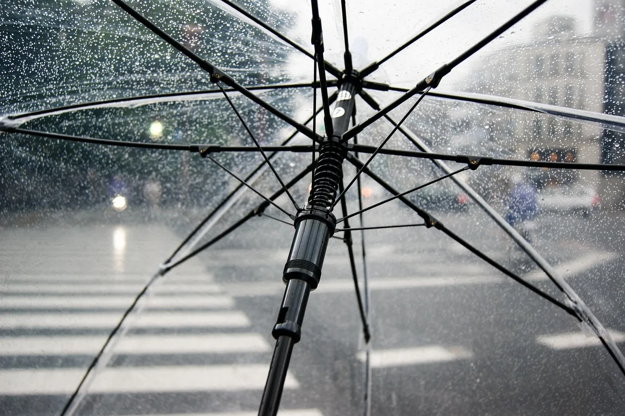 umbrella, rain, nature, wet, weather, cold, raindrops, clear umbrella, city, crosswalk, storm, rainy, parasol, water. Commercial Umbrella Coverage: How It Sits Above General and Professional Liability
