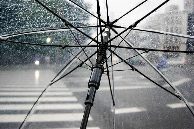umbrella, rain, nature, wet, weather, cold, raindrops, clear umbrella, city, crosswalk, storm, rainy, parasol, water. Commercial Umbrella Coverage: How It Sits Above General and Professional Liability