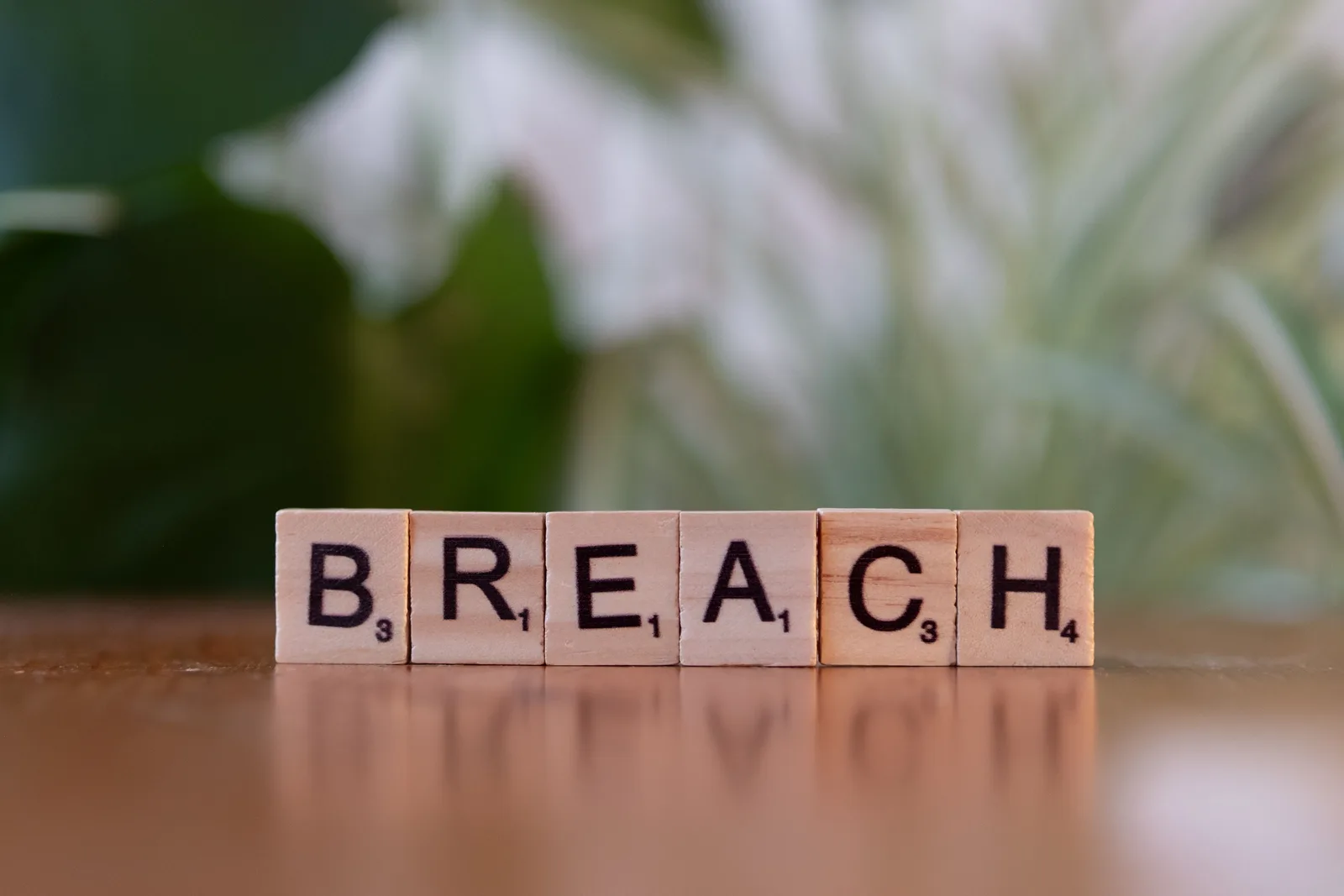 Wooden letter tiles spell 'Breach' against a blurred natural background, concept of security or violation. 5 points on cyber insurance rules that matter
