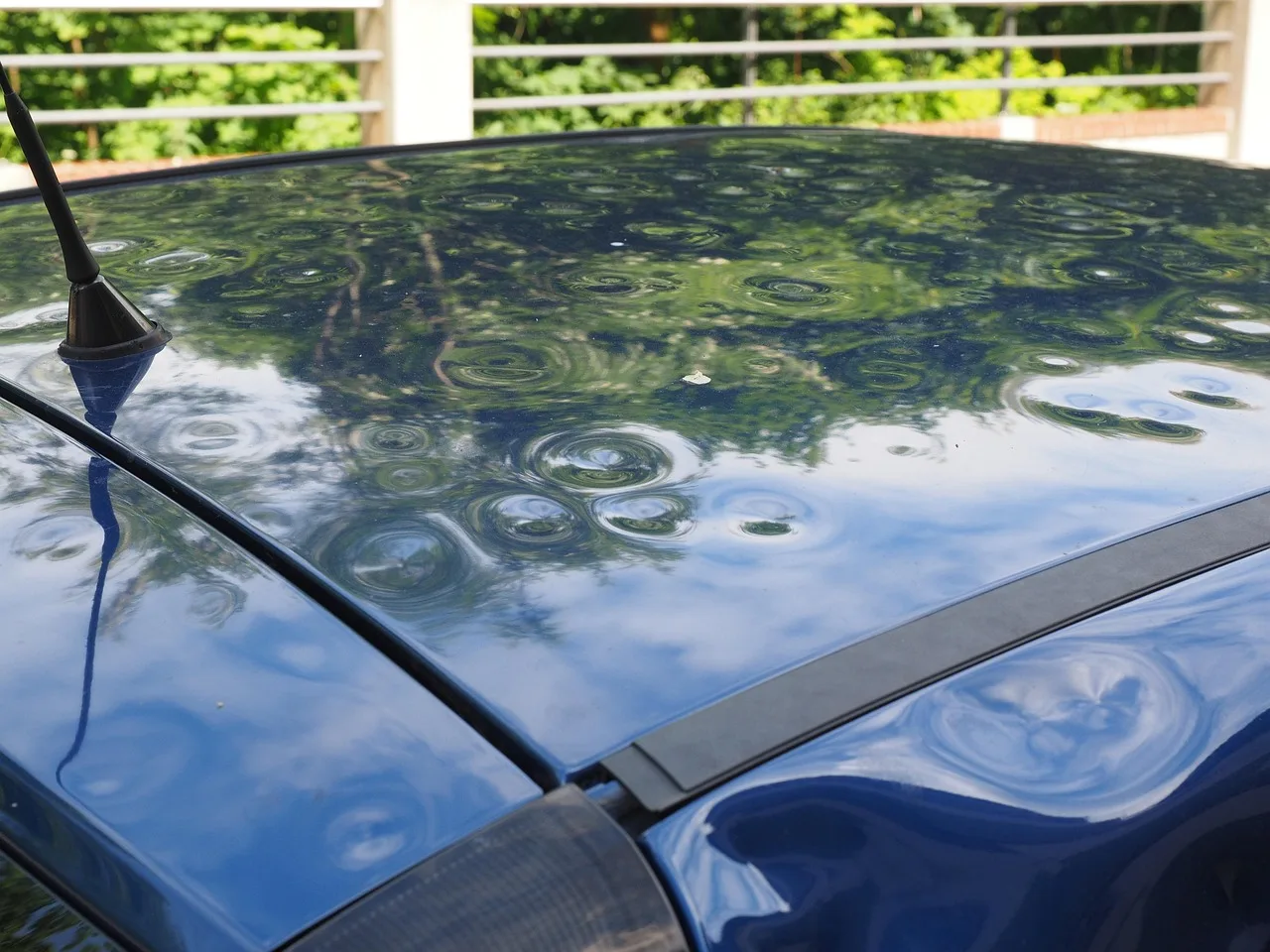 hail damage, automobile, car roof, paint damage, bumps, dents, hailbones, hail dents, case of insurance, insurance, hail damage, hail damage, hail damage, hail damage, hail damage, insurance. Umbrella coverage failures compared: a renewal nobody connected to the layer